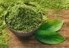 Máte rádi neobvyklé příchutě? Pak určitě musíte vyzkoušet zmrzlinu s matcha tea?