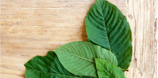 Kratom: Kra Thum Khok vs. kratom