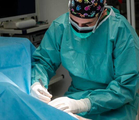 Veterinární klinika Bílá Hora – dopřejte vašim mazlíčkům tu nejlepší péči