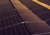 Flexibilní tarif Fintovka – využití levné energie ke snižování nákladů i v časech růstu cen
