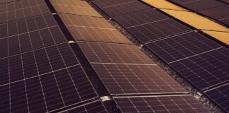 Flexibilní tarif Fintovka – využití levné energie ke snižování nákladů i v časech růstu cen