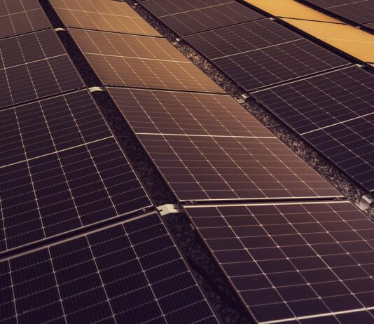 Flexibilní tarif Fintovka – využití levné energie ke snižování nákladů i v časech růstu cen